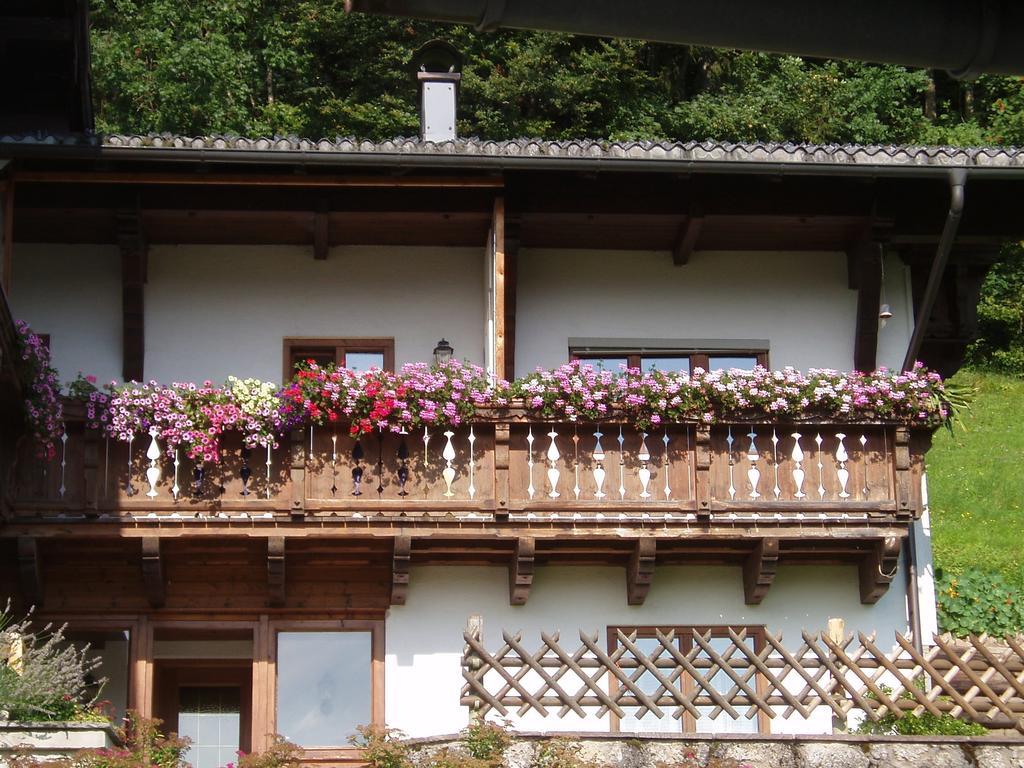 Ferienwohnung Woerndl Faistenau Cameră foto